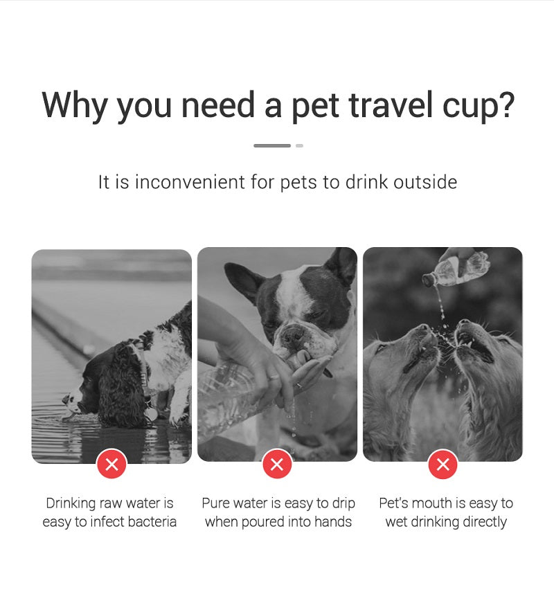 Portable Dog Water Bottle for Travel β Leak-Proof Pet Water Dispenser for Walks, Hiking & Outdoor Use